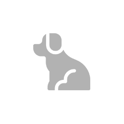Dog Icon - Volumetree