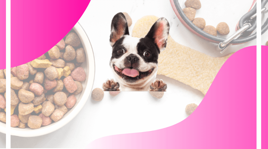 Online meal Subscription for pets