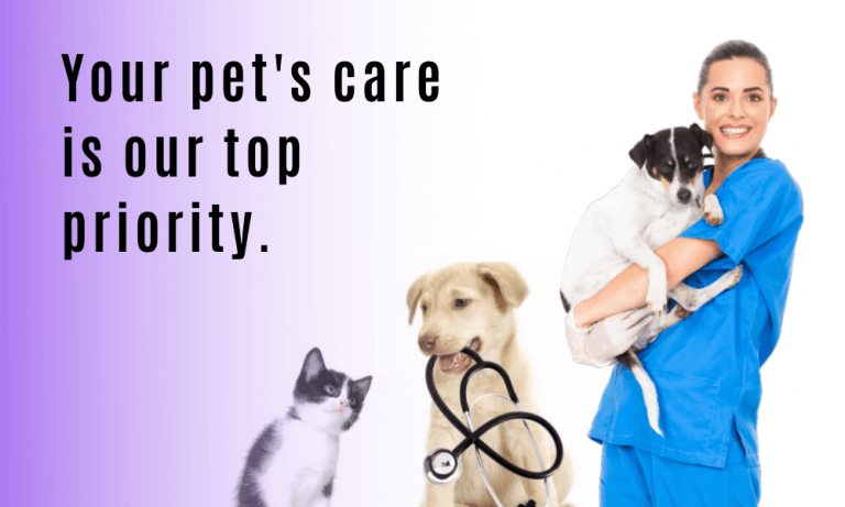 Online pet healthcare veterinary techhealth - Volumetree