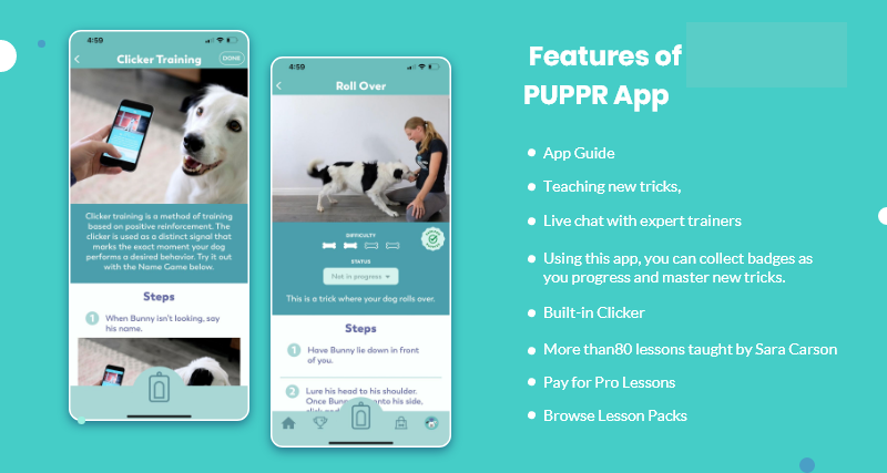 Puppr app features list