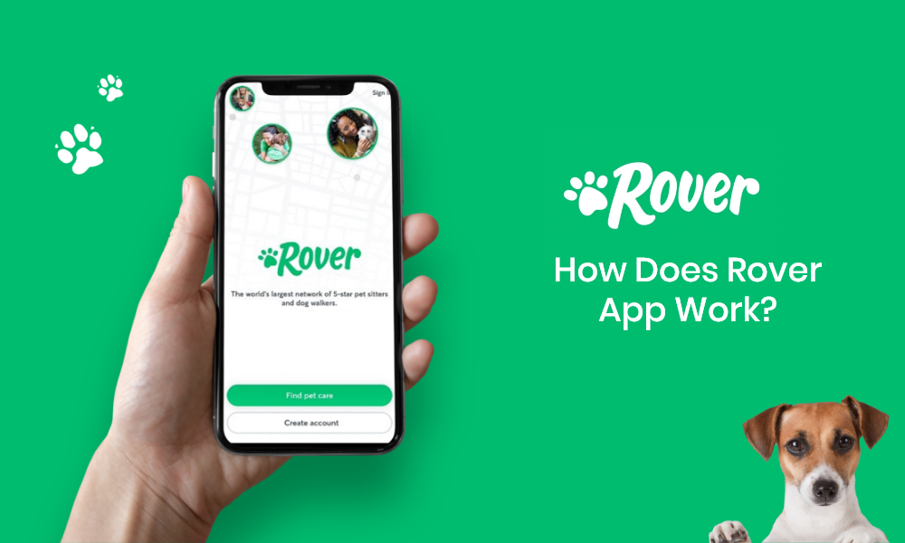 how does Rover app work